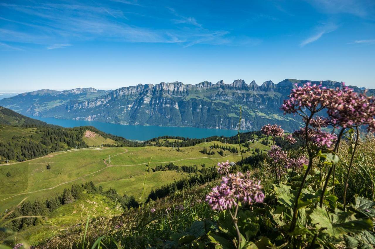 Alte Sektion Und Alpenblick Hotel Flums Exterior foto